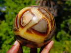 Polished Septerye Spheres x 2 From Mahajanga, Madagascar - Toprock Gemstones and Minerals 
