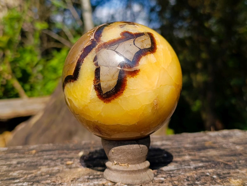 Polished Septerye Spheres x 2 From Mahajanga, Madagascar - Toprock Gemstones and Minerals 