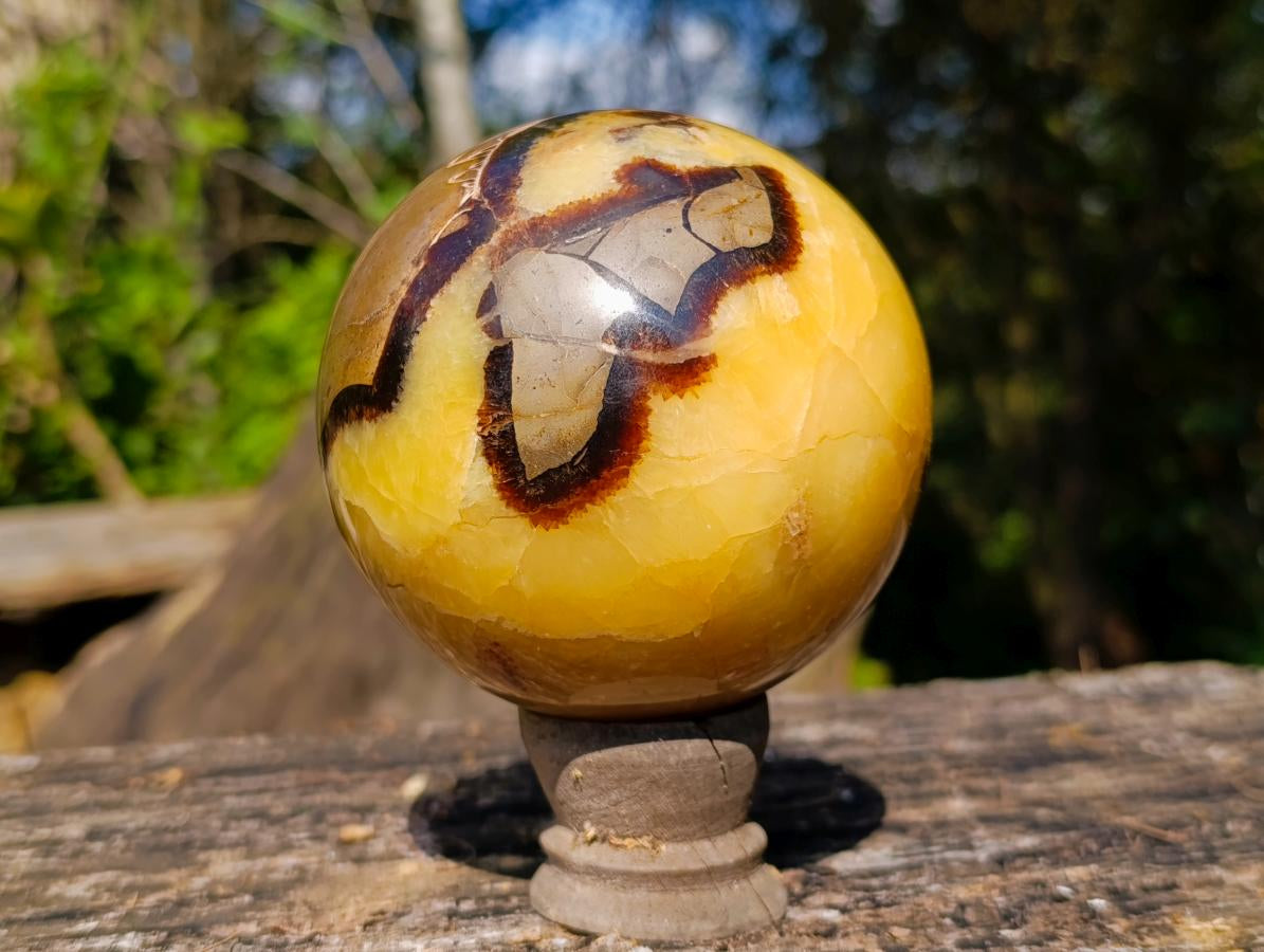 Polished Septerye Spheres x 2 From Mahajanga, Madagascar - Toprock Gemstones and Minerals 