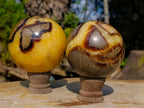 Polished Septerye Spheres x 2 From Mahajanga, Madagascar - Toprock Gemstones and Minerals 