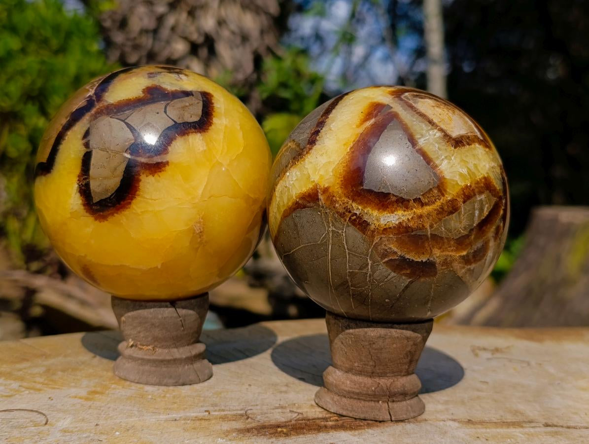 Polished Septerye Spheres x 2 From Mahajanga, Madagascar - Toprock Gemstones and Minerals 
