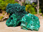 Natural Silky Malachite Specimens x 6 From Kasompe, Congo - Toprock Gemstones and Minerals 