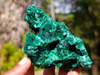 Natural Silky Malachite Specimens x 6 From Kasompe, Congo - Toprock Gemstones and Minerals 