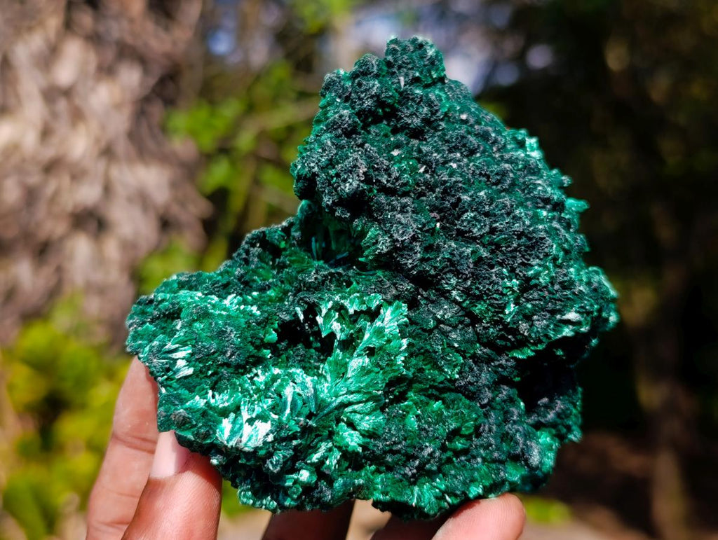 Natural Silky Malachite Specimens x 6 From Kasompe, Congo - Toprock Gemstones and Minerals 