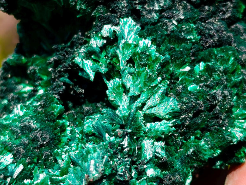 Natural Silky Malachite Specimens x 6 From Kasompe, Congo - Toprock Gemstones and Minerals 