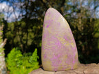 Polished Stichtite Standing Display Pieces x 2 From Barberton, South Africa - Toprock Gemstones and Minerals 