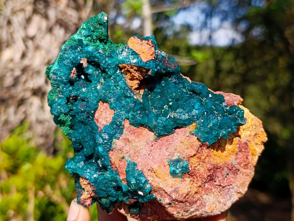 Natural Large Dioptase on Dolomite Specimen with Malachite x 1 From Likasi, Congo - Toprock Gemstones and Minerals 