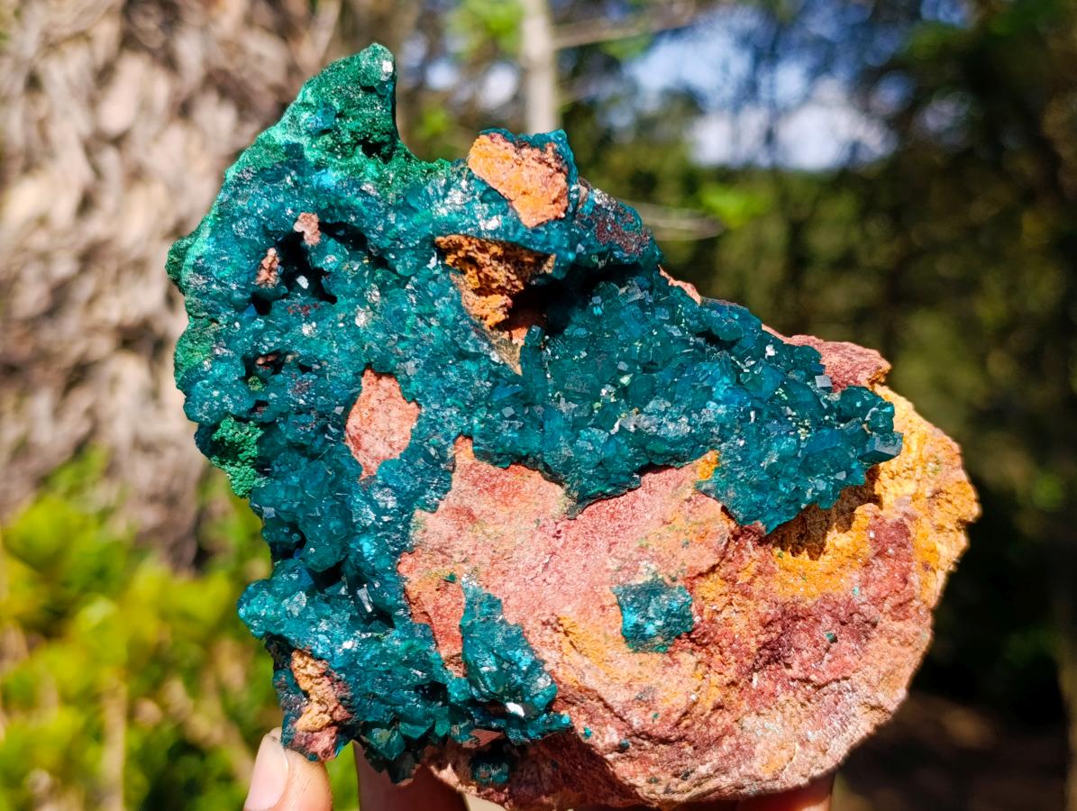 Natural Large Dioptase on Dolomite Specimen with Malachite x 1 From Likasi, Congo - Toprock Gemstones and Minerals 