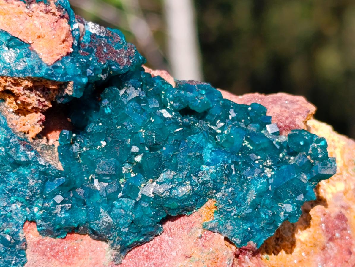 Natural Large Dioptase on Dolomite Specimen with Malachite x 1 From Likasi, Congo - Toprock Gemstones and Minerals 