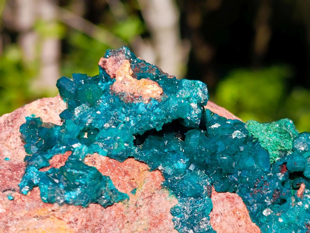 Natural Large Dioptase on Dolomite Specimen with Malachite x 1 From Likasi, Congo - Toprock Gemstones and Minerals 