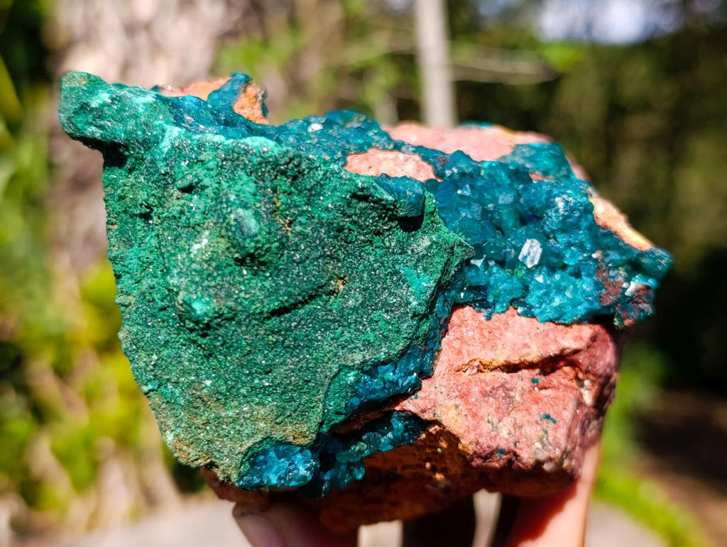Natural Large Dioptase on Dolomite Specimen with Malachite x 1 From Likasi, Congo - Toprock Gemstones and Minerals 