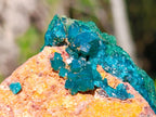 Natural Large Dioptase on Dolomite Specimen with Malachite x 1 From Likasi, Congo - Toprock Gemstones and Minerals 