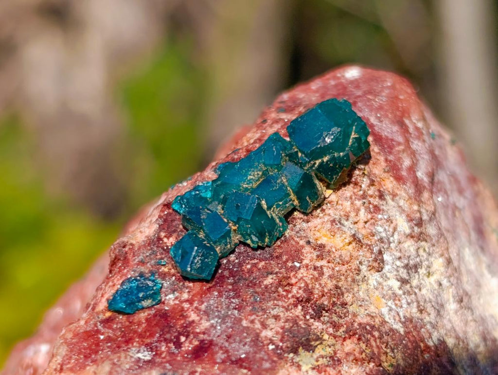 Natural Large Dioptase on Dolomite Specimen with Malachite x 1 From Likasi, Congo - Toprock Gemstones and Minerals 