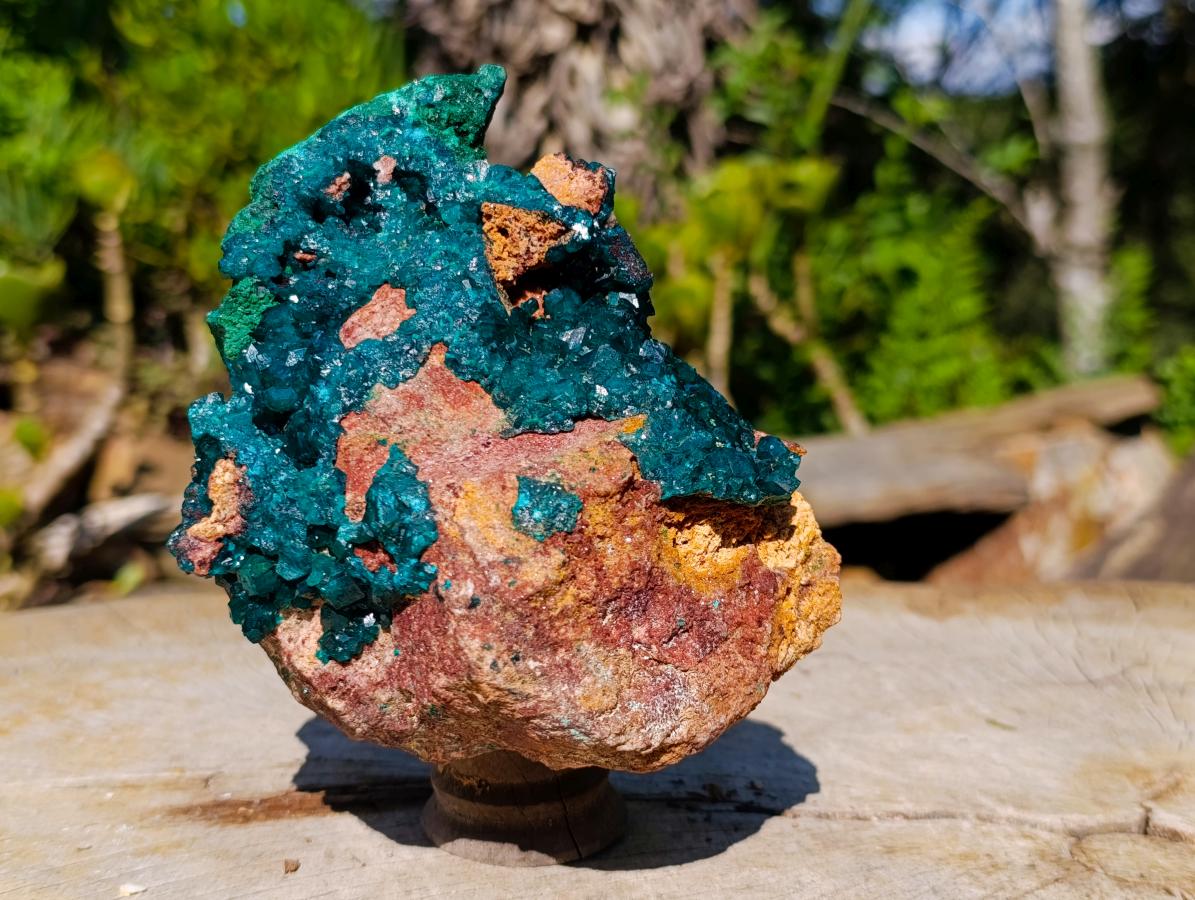 Natural Large Dioptase on Dolomite Specimen with Malachite x 1 From Likasi, Congo - Toprock Gemstones and Minerals 