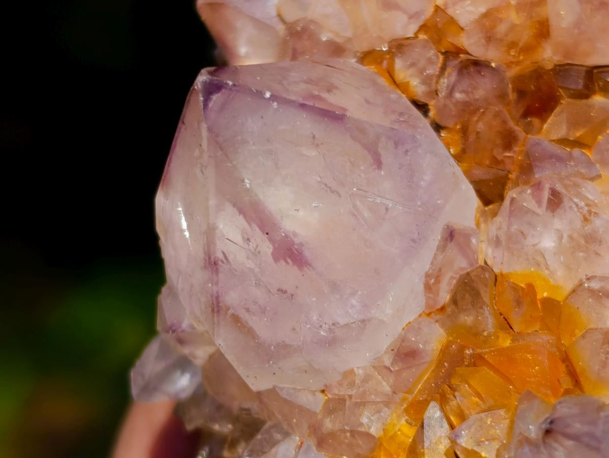 Natural Smokey Sunburst Spirit Ametrine Clusters x 6 From Boekenhouthoek, South Africa - Toprock Gemstones and Minerals 