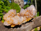 Natural Smokey Sunburst Spirit Ametrine Clusters x 6 From Boekenhouthoek, South Africa - Toprock Gemstones and Minerals 