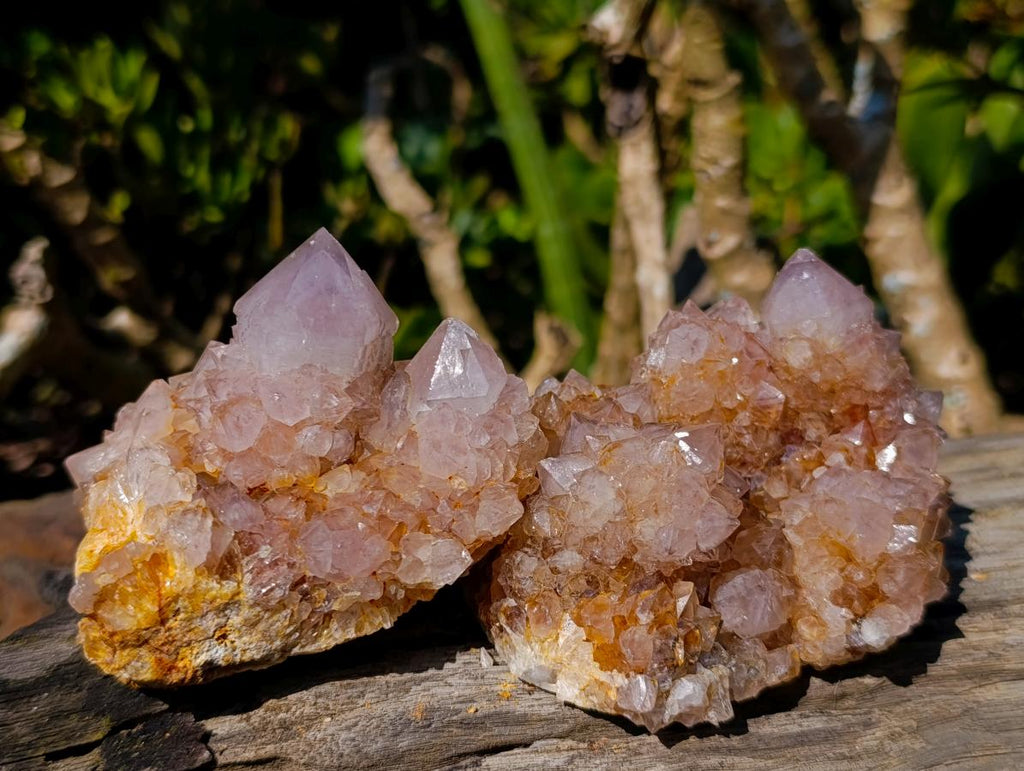 Natural Smokey Sunburst Spirit Ametrine Clusters x 6 From Boekenhouthoek, South Africa - Toprock Gemstones and Minerals 