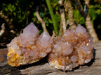 Natural Smokey Sunburst Spirit Ametrine Clusters x 6 From Boekenhouthoek, South Africa - Toprock Gemstones and Minerals 