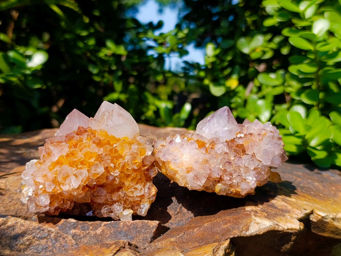Natural Smokey Sunburst Spirit Ametrine Clusters x 6 From Boekenhouthoek, South Africa - Toprock Gemstones and Minerals 