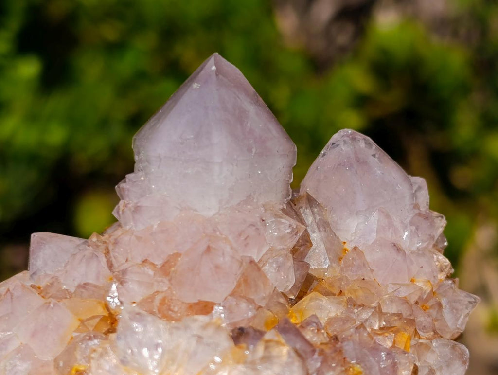 Natural Smokey Sunburst Spirit Ametrine Clusters x 6 From Boekenhouthoek, South Africa - Toprock Gemstones and Minerals 