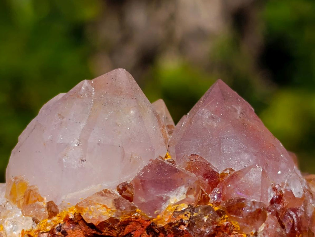 Natural Smokey Sunburst Spirit Ametrine Clusters x 6 From Boekenhouthoek, South Africa - Toprock Gemstones and Minerals 