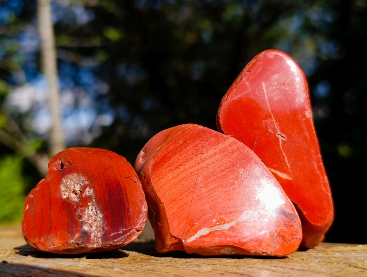 Polished on One Side Brecciated Red Jasper Nodules x 16 from South Africa - Toprock Gemstones and Minerals 