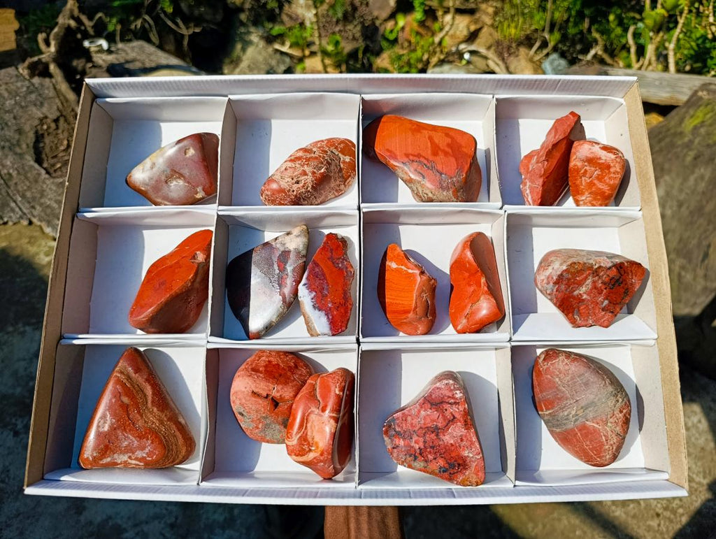 Polished on One Side Brecciated Red Jasper Nodules x 16 from South Africa - Toprock Gemstones and Minerals 