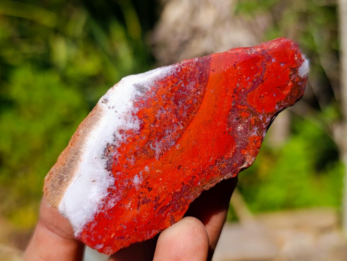 Polished on One Side Brecciated Red Jasper Nodules x 16 from South Africa - Toprock Gemstones and Minerals 