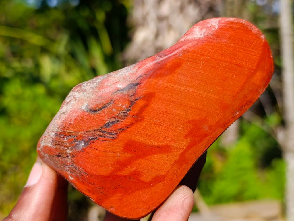 Polished on One Side Brecciated Red Jasper Nodules x 16 from South Africa - Toprock Gemstones and Minerals 