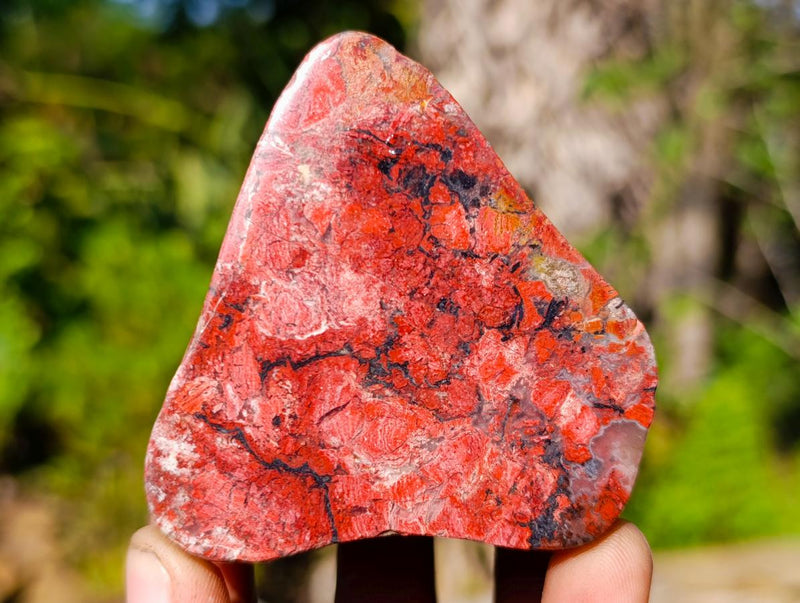 Polished on One Side Brecciated Red Jasper Nodules x 16 from South Africa - Toprock Gemstones and Minerals 