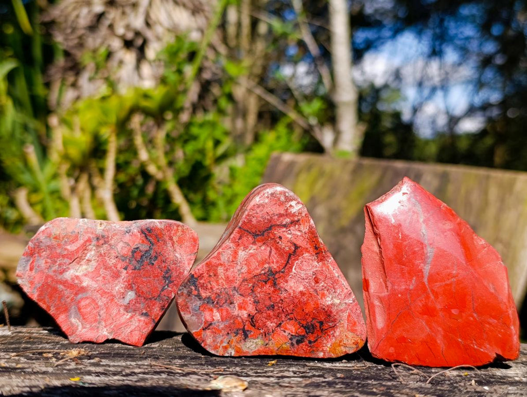 Polished on One Side Brecciated Red Jasper Nodules x 16 from South Africa - Toprock Gemstones and Minerals 