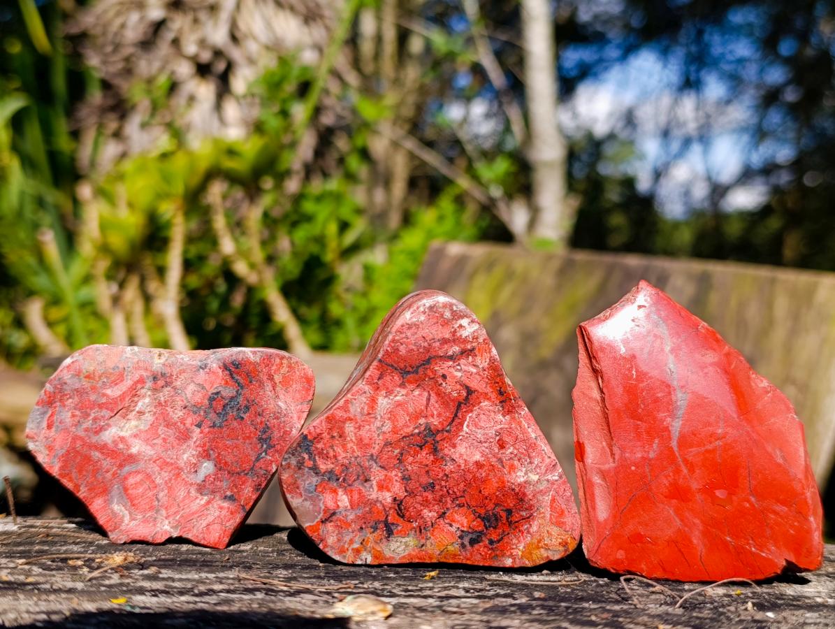 Polished on One Side Brecciated Red Jasper Nodules x 16 from South Africa - Toprock Gemstones and Minerals 