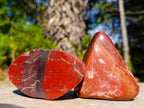 Polished on One Side Brecciated Red Jasper Nodules x 16 from South Africa - Toprock Gemstones and Minerals 