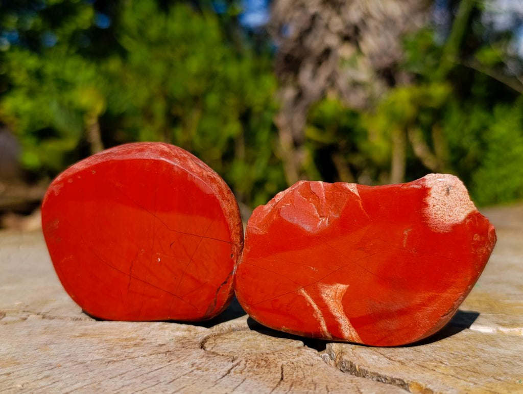 Polished on One Side Brecciated Red Jasper Nodules x 16 from South Africa - Toprock Gemstones and Minerals 