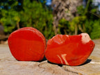 Polished on One Side Brecciated Red Jasper Nodules x 16 from South Africa - Toprock Gemstones and Minerals 