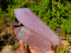 Polished Double Terminated Gemmy Rose Quartz Crystals x 3 From Madagascar - Toprock Gemstones and Minerals 