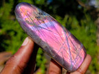 Polished Rare Purple Sunset Flash Labradorite Standing Free Forms x 7 From Madagascar - Toprock Gemstones and Minerals 