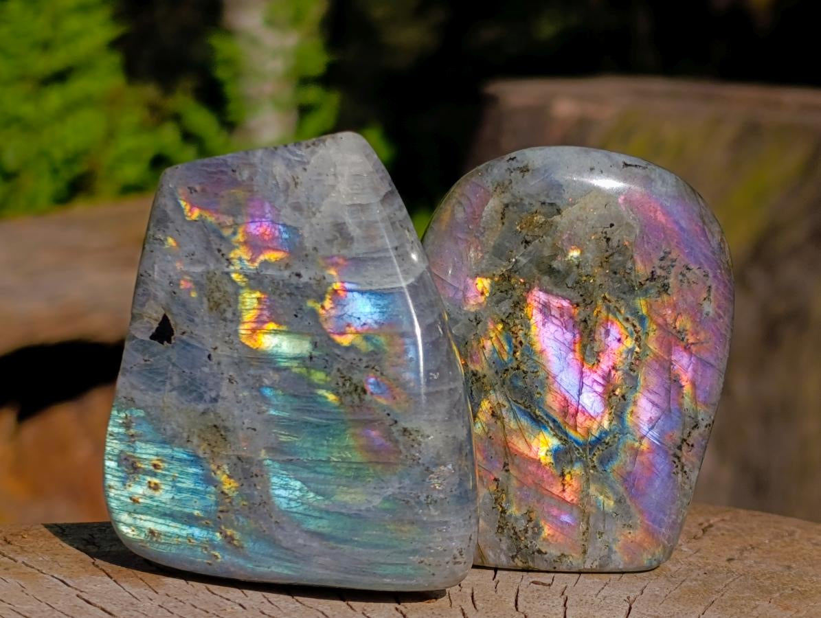 Polished Rare Purple Sunset Flash Labradorite Standing Free Forms x 7 From Madagascar - Toprock Gemstones and Minerals 