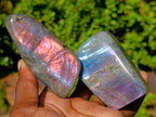 Polished Rare Purple Sunset Flash Labradorite Standing Free Forms x 7 From Madagascar - Toprock Gemstones and Minerals 