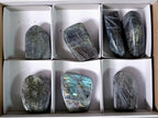 Polished Rare Purple Sunset Flash Labradorite Standing Free Forms x 7 From Madagascar - Toprock Gemstones and Minerals 