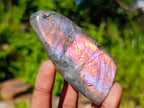 Polished Rare Purple Sunset Flash Labradorite Standing Free Forms x 7 From Madagascar - Toprock Gemstones and Minerals 