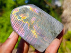 Polished Rare Purple Sunset Flash Labradorite Standing Free Forms x 7 From Madagascar - Toprock Gemstones and Minerals 