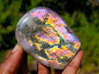 Polished Rare Purple Sunset Flash Labradorite Standing Free Forms x 7 From Madagascar - Toprock Gemstones and Minerals 