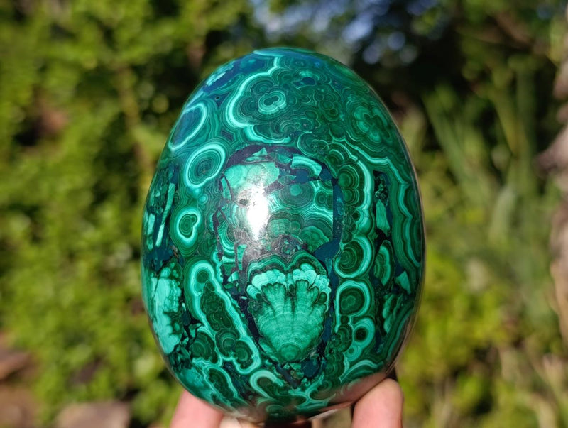 Polished Flower Banded Malachite Gemstone Eggs x 2 From Congo - Toprock Gemstones and Minerals 