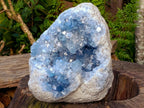 Natural XXL Blue Celestite Geode Specimen x 1 From Sakoany, Madagascar - Toprock Gemstones and Minerals 