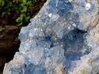 Natural XXL Blue Celestite Geode Specimen x 1 From Sakoany, Madagascar - Toprock Gemstones and Minerals 