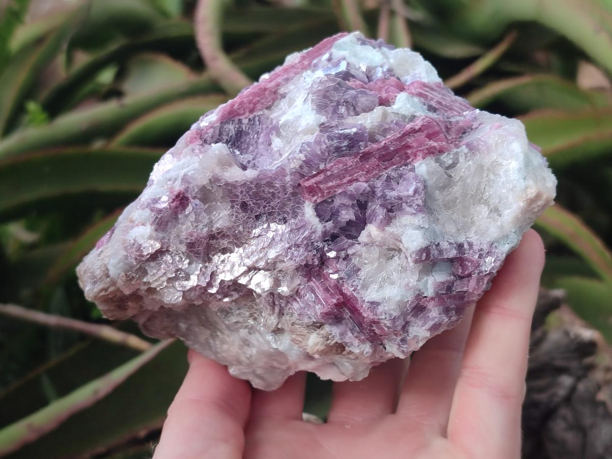 Natural Pink Rubellite Tourmaline Specimens x 2 From Karibib, Namibia - Toprock Gemstones and Minerals 