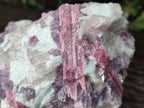 Natural Pink Rubellite Tourmaline Specimens x 2 From Karibib, Namibia - Toprock Gemstones and Minerals 