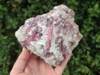Natural Pink Rubellite Tourmaline Specimens x 2 From Karibib, Namibia - Toprock Gemstones and Minerals 