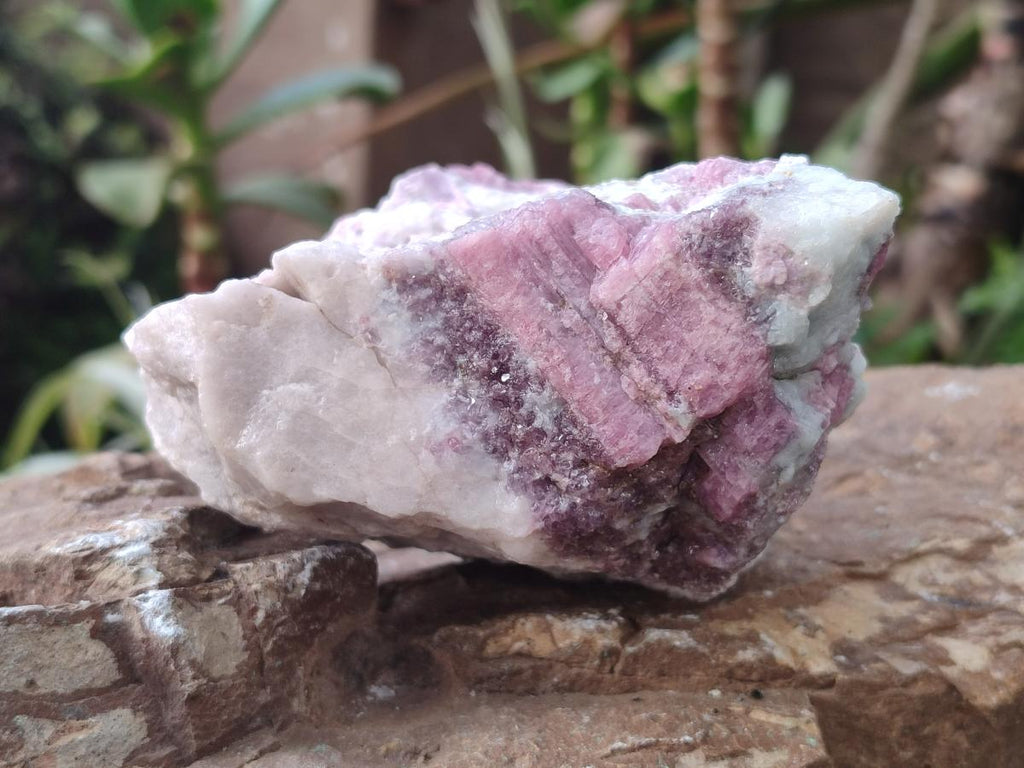 Natural Pink Rubellite Tourmaline Specimens x 2 From Karibib, Namibia - Toprock Gemstones and Minerals 